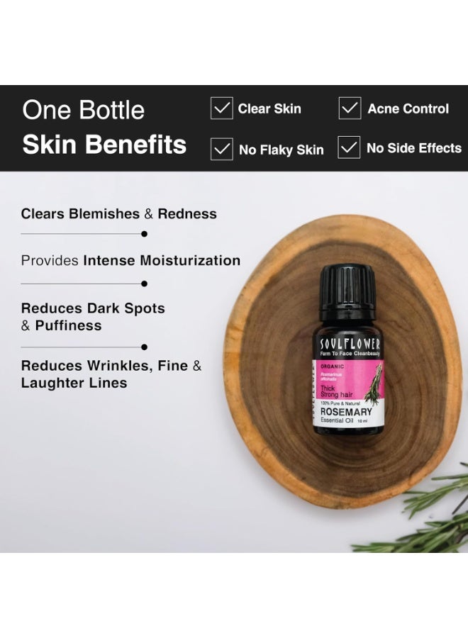 Soulflower Rosemary Essential Oil for Hair Growth, Hair Fall Control, Hair Nourishment & Strengthening, Skin Care | Clinically Proven and Ecocert Certified Organic | 100% Pure & Natural Undiluted | 10ml (Without Dropper) - Image 3